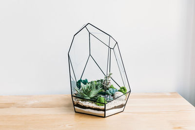 Potted plant on table against wall at home