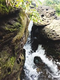 Reflection of trees in water