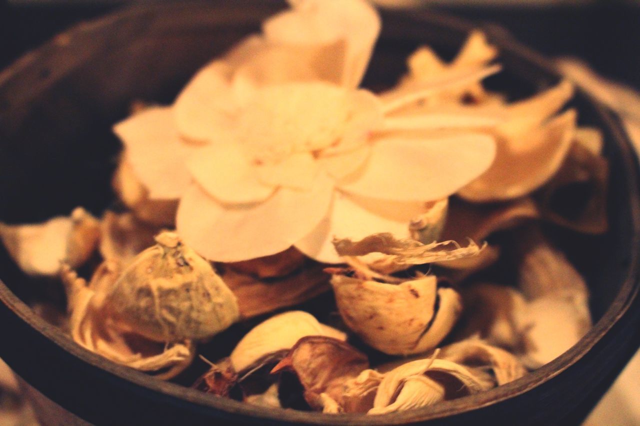 freshness, close-up, food and drink, indoors, flower, food, still life, petal, ready-to-eat, focus on foreground, plate, table, indulgence, flower head, bowl, no people, selective focus, high angle view, fragility, temptation