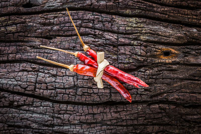 Close-up of dry leaves on wood