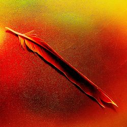 Close-up of red object