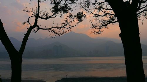 Silhouette bare tree against sky during sunset