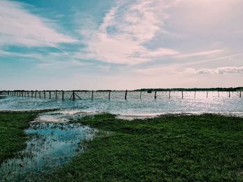 Wooden posts in lagoon