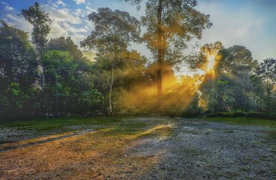 Sunlight streaming through trees on field against sky