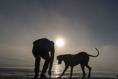 Silhouette man and dog on shore at beach against sky during sunset