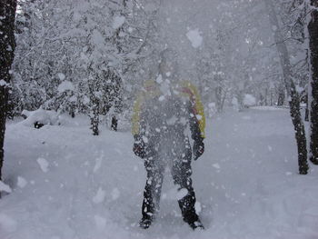 Man on snow covered trees against sky