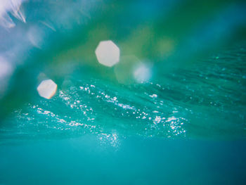 Close-up of jellyfish swimming in sea