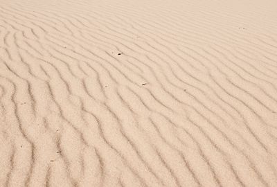 Full frame shot of sand dunes in desert