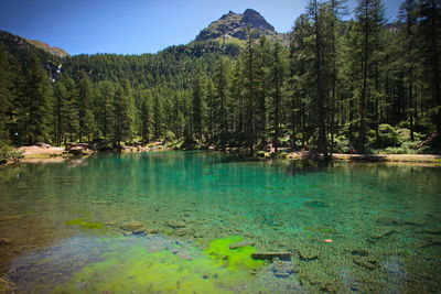 Scenic view of lake against sky