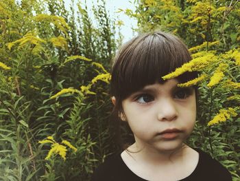 Close-up portrait of a boy