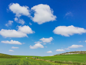 Scenic view of field against sky