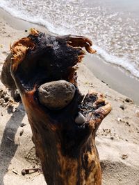 High angle view of driftwood on beach