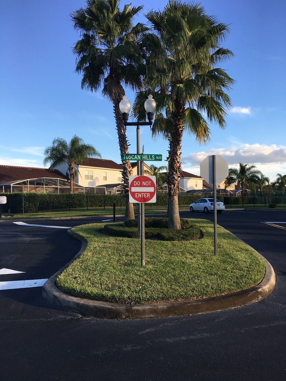 ROAD SIGN BY TREE IN CITY