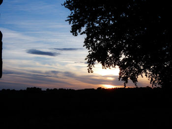 Low angle view of silhouette trees against sky at sunset