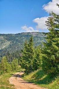 Scenic view of landscape against clear sky