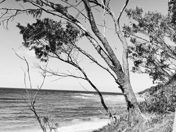 Scenic view of sea against clear sky