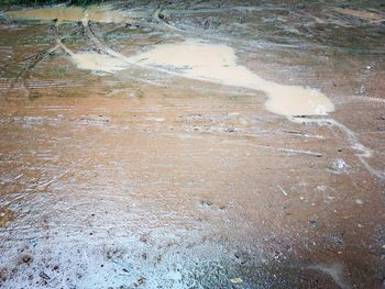 High angle view of puddle on landscape