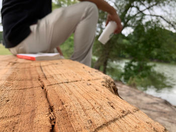 Low section of woman sitting on wood against trees