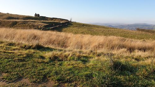 Scenic view of field against clear sky