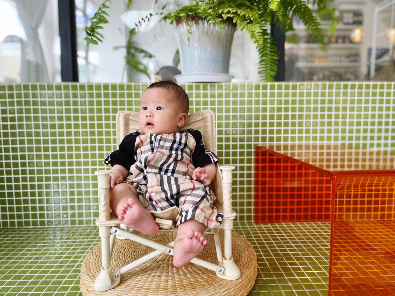 child, childhood, baby, one person, full length, sitting, innocence, cute, toddler, seat, babyhood, clothing, person, chair, nature, lifestyles, looking, day, emotion, outdoors, baby clothing, plant, front view, happiness, portrait, looking away, casual clothing, smiling, holding