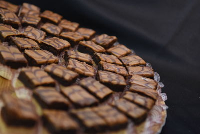 Close-up of pine cone