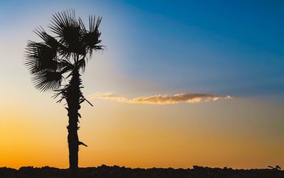 Low angle view of silhouette tree against sky during sunset