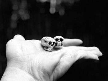 Close-up of hand holding human skulls