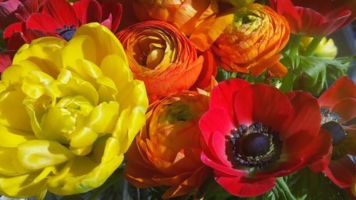 Close-up of flower bouquet