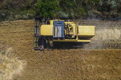 Harvesting scene in the italian countryside