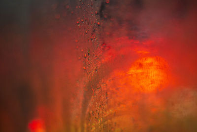 Full frame shot of red water