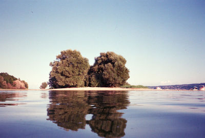 Reflection of trees in sea against clear sky