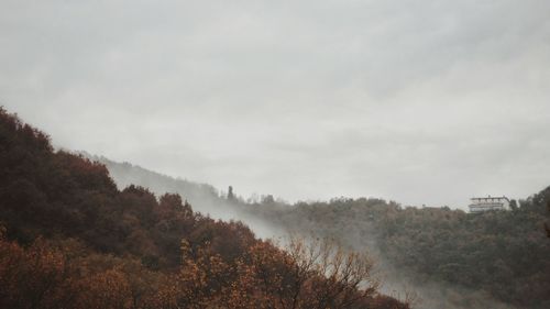 Scenic view of forest against sky during autumn