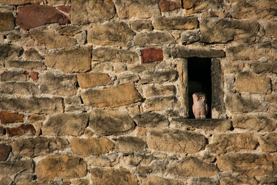 Man standing by stone wall