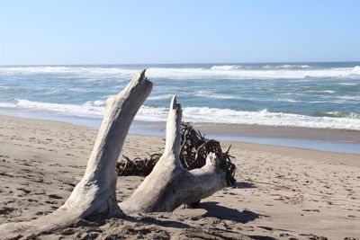 Scenic view of beach against sky