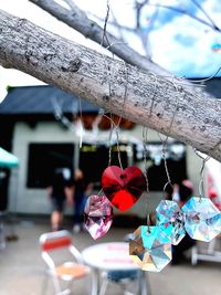 Close-up of decoration hanging on tree