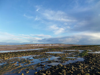 Scenic view of agricultural landscape against sky