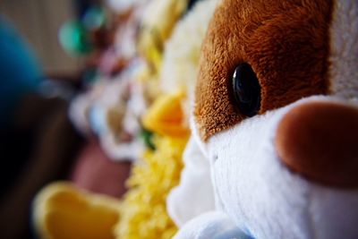 Close-up of stuffed toys in shop