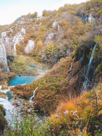 Scenic view of waterfall in forest