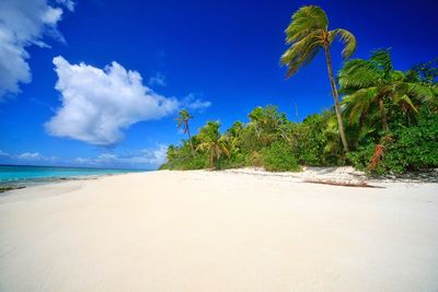 Scenic view of beach against blue sky