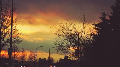 Silhouette of bare tree against cloudy sky