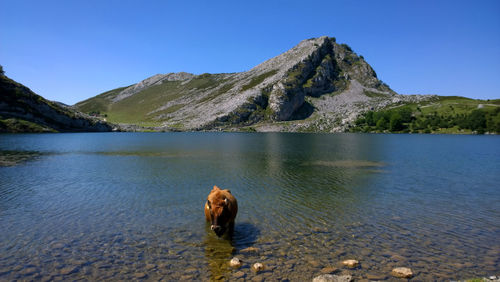 Scenic view of lake by mountain against clear blue sky