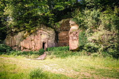 View of stone wall