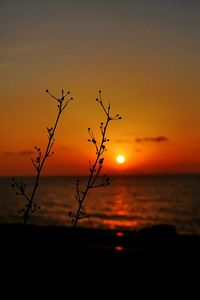 Scenic view of sea at sunset