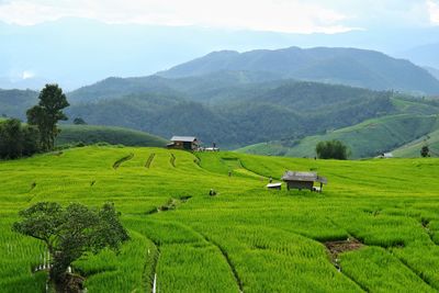 Scenic view of agricultural field and mountains against sky