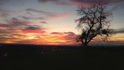 Silhouette tree on field against sky during sunset