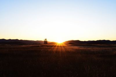 Scenic view of field against clear sky during sunset