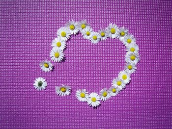 High angle view of flowers on fabric