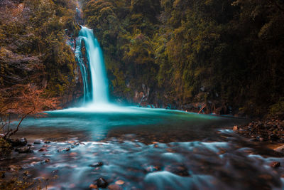 Scenic view of waterfall in forest