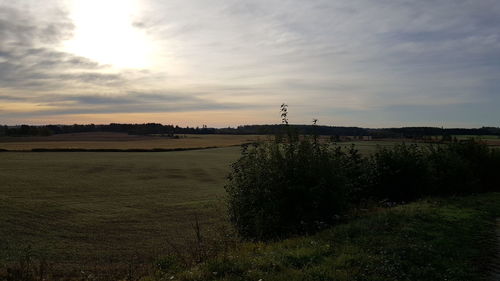 Scenic view of field against sky during sunset