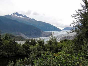 Mendenhall glacier juneau alaska from trail with lake, forest and mountain range